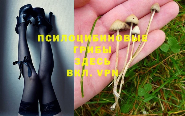 СК Горнозаводск