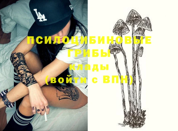 винт Алексеевка
