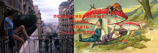 прущие крисы Алексин