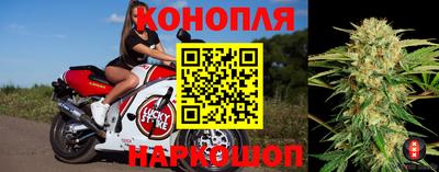 молекула духа Заволжье