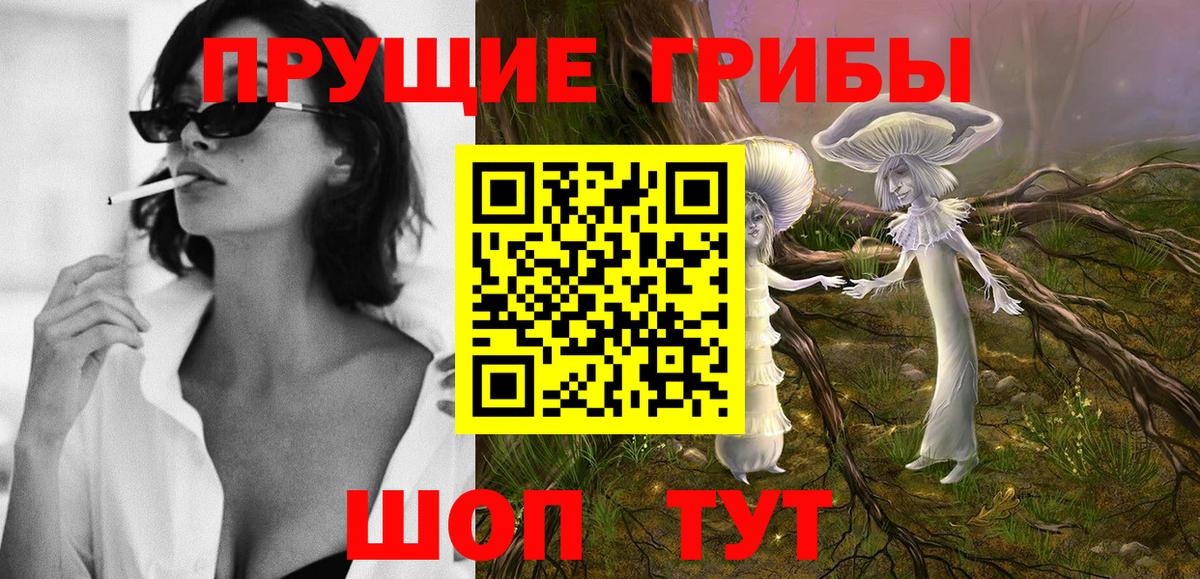 Псилоцибиновые грибы мицелий Лесосибирск