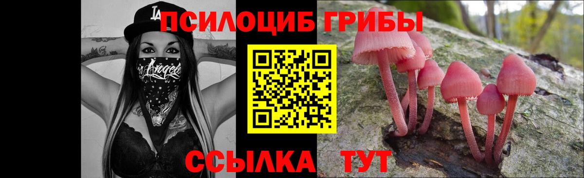 Галлюциногенные грибы мухоморы  Вход с VPN  Лесосибирск 